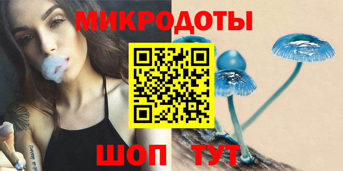 Псилоцибиновые грибы Psilocybine cubensis Коркино