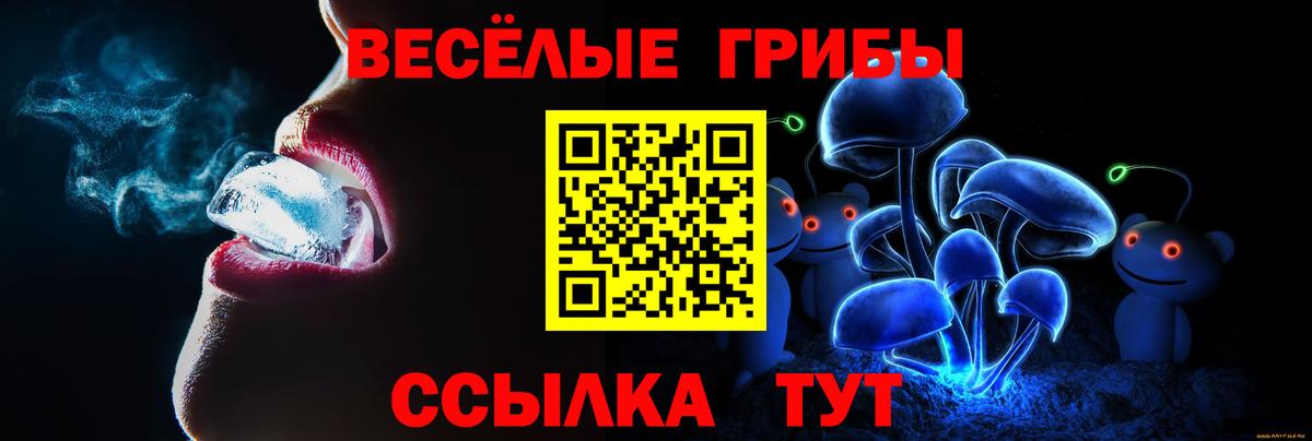 Коркино  Псилоцибиновые грибы Cubensis  Вход с VPN 